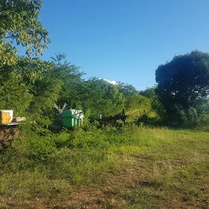 Un jardin Créole partagé aux Antilles en Guadeloupe