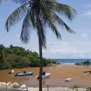 Pollution des océans dans les Caraïbes